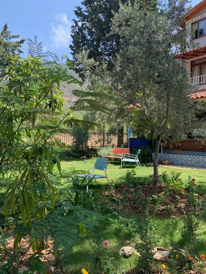 Adrasan La Casita Hotel エクステリア 写真
